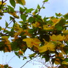 IMAG0020