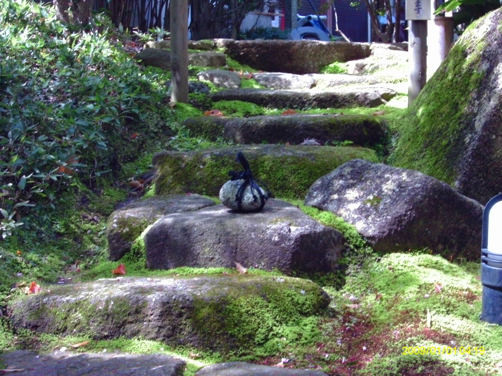 IMAG0014