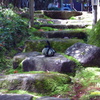 IMAG0014