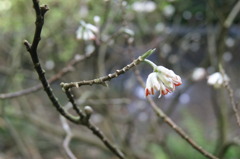 DSC00246