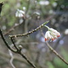 DSC00246