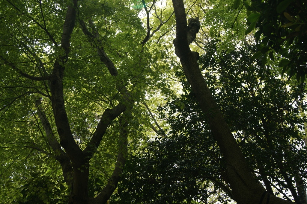 DSC00215