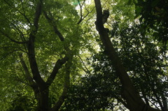 DSC00215