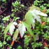 IMAG0016