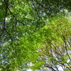 IMAG0013
