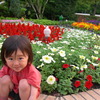 お花が好き