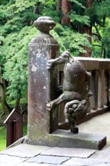 逆さ猫？