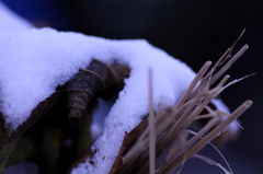 雪Ⅰ