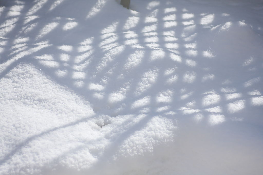 雪に写る影