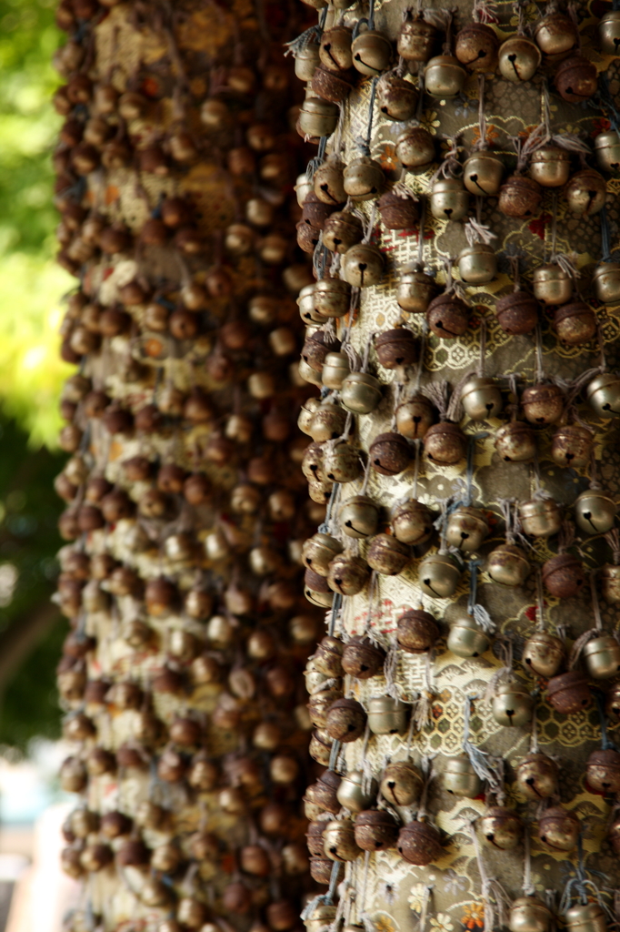 これは何でしょう