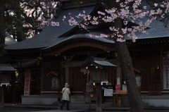 春のお社