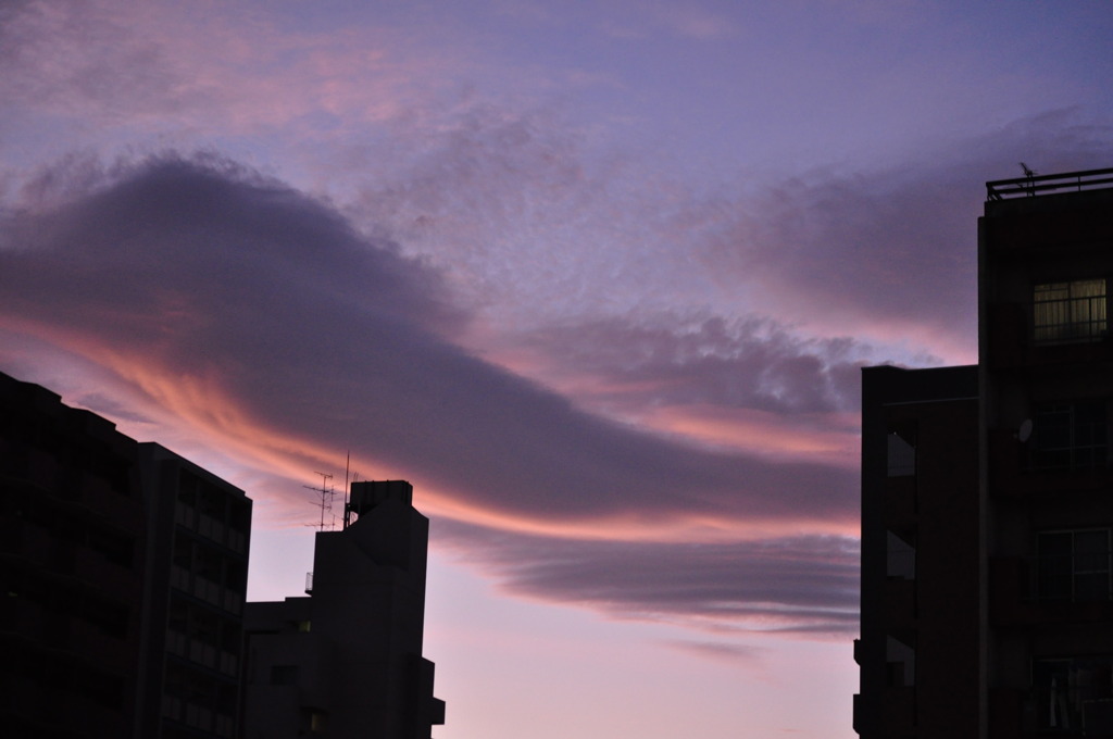雲の鳥