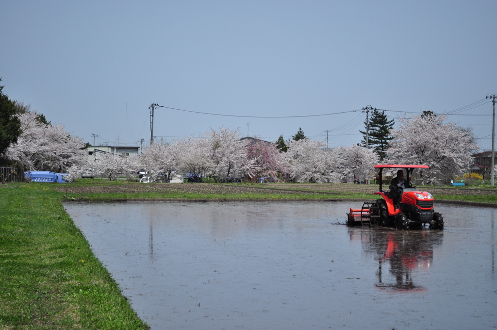 さぁ、田植えの準備