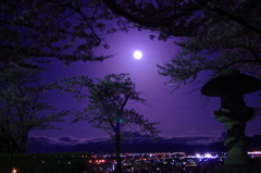 蒼い空