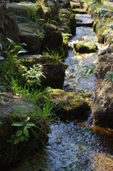 遅い春