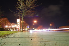 IMGP6803