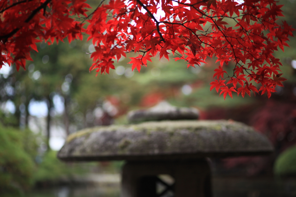 日本の秋