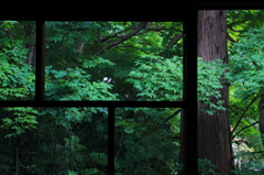 晩夏の明暗