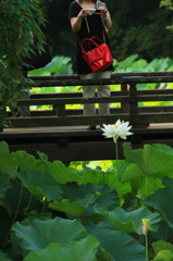 美白ﾓﾃﾞﾙ