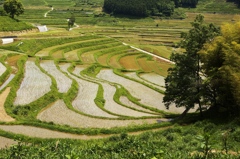 棚田　美咲町