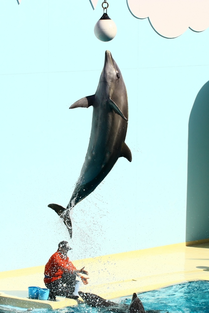 ジャンプ！！