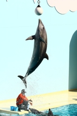 ジャンプ！！