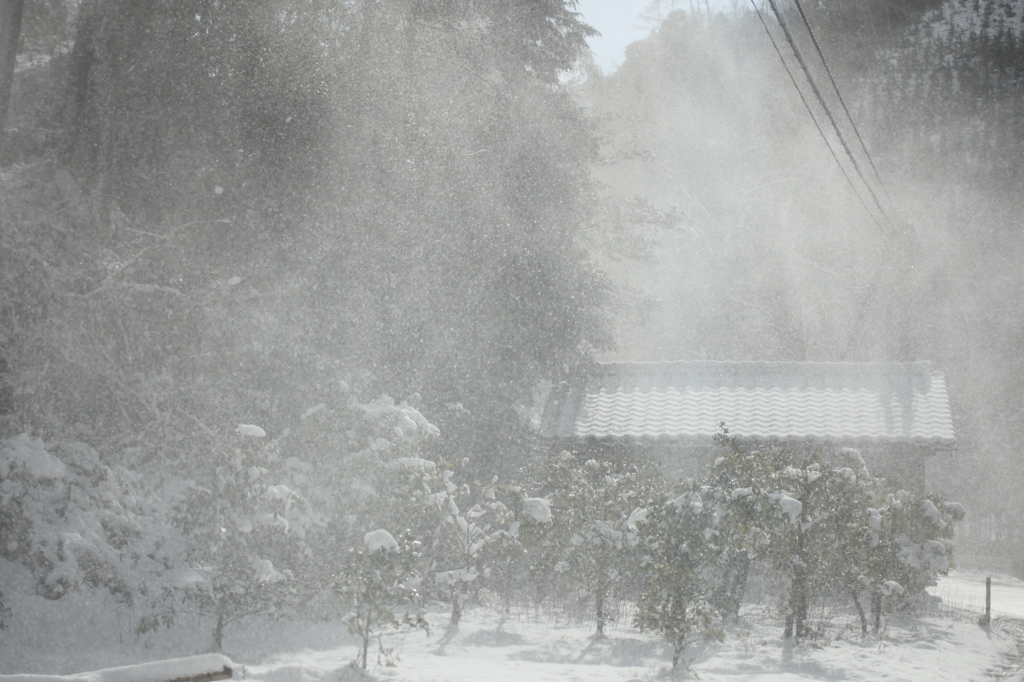 粉雪