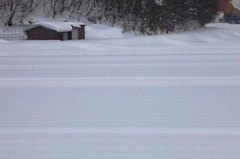 新雪