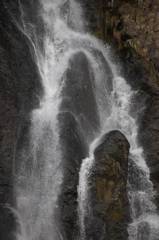 IMG_7775