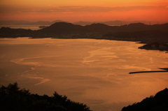 紅い海