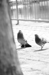 DSC_0164