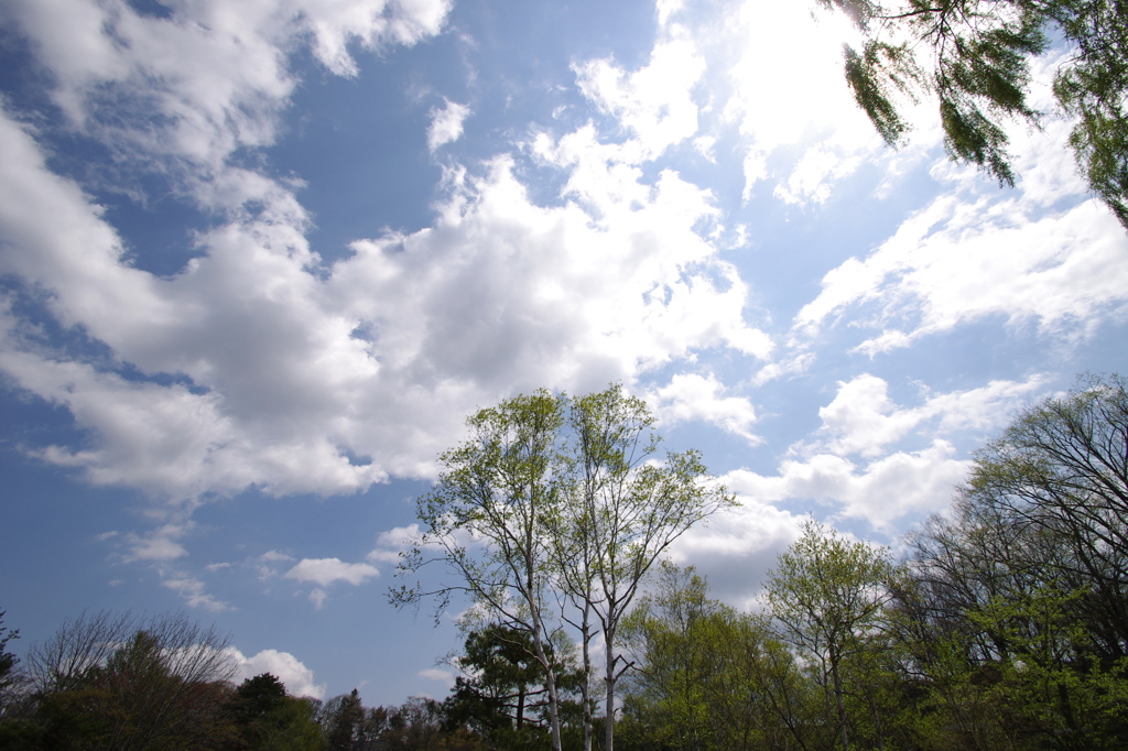 雲の渦