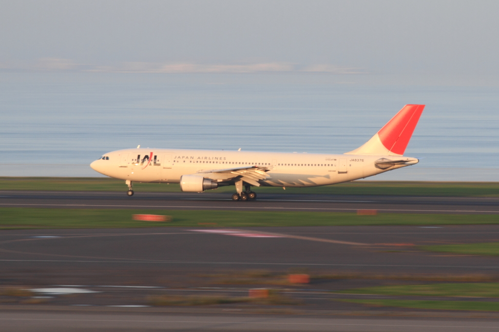 大空へ羽ばたく