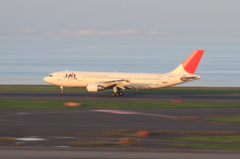 大空へ羽ばたく