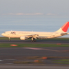 大空へ羽ばたく