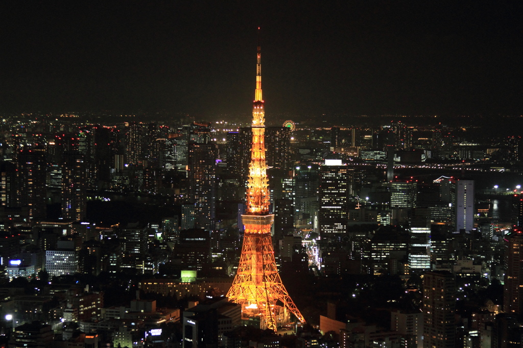 東京タワー 1