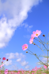 今日も、青空と。