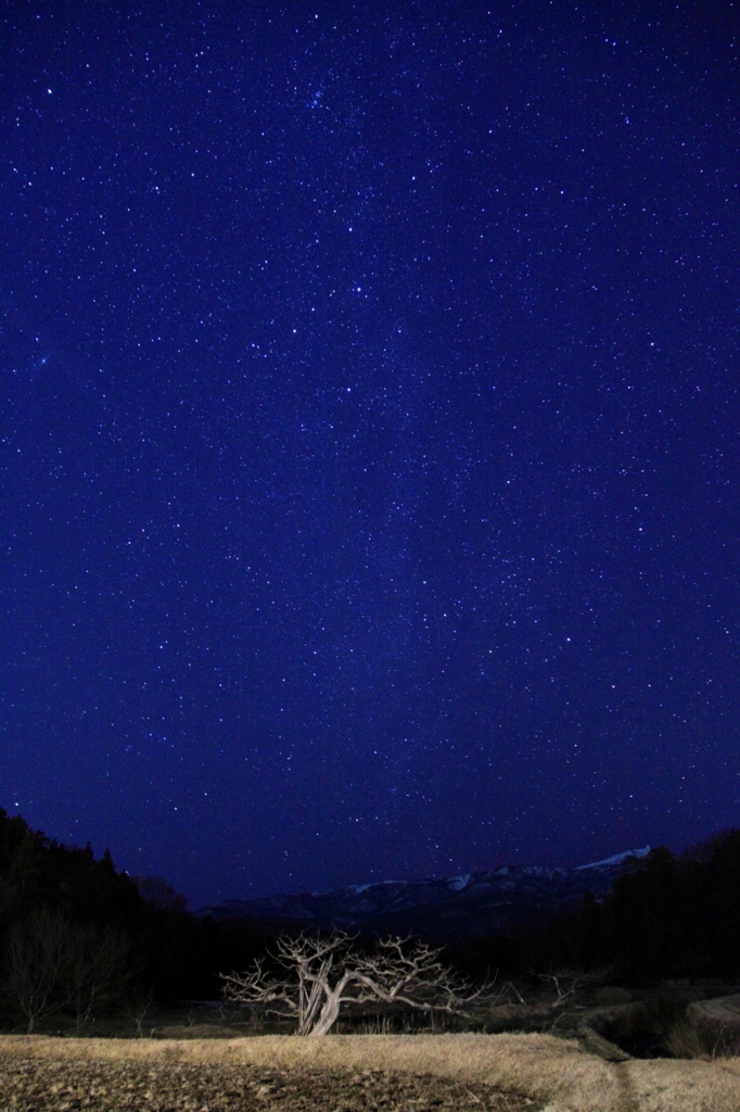 星輝く夜に