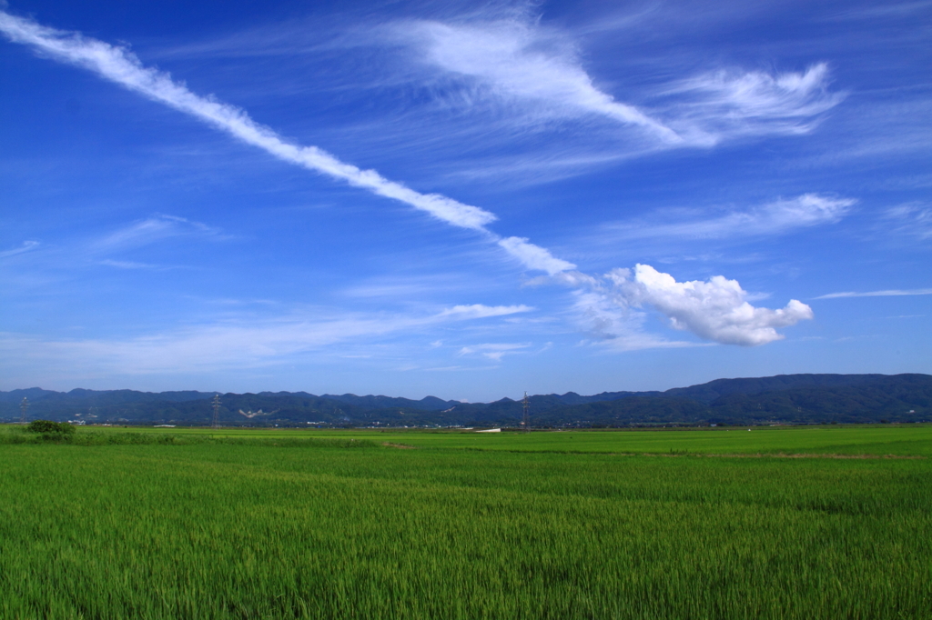 夏空