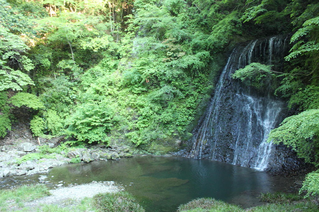 癒しの滝