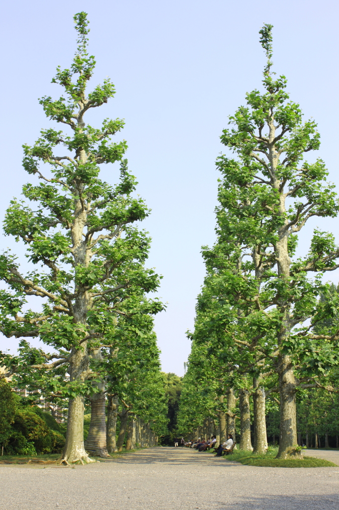 フランス式庭園