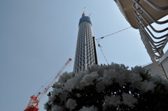 DSC_0018
