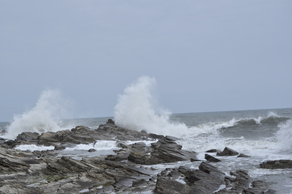 DSC_0072