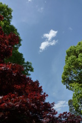 足利学校　空