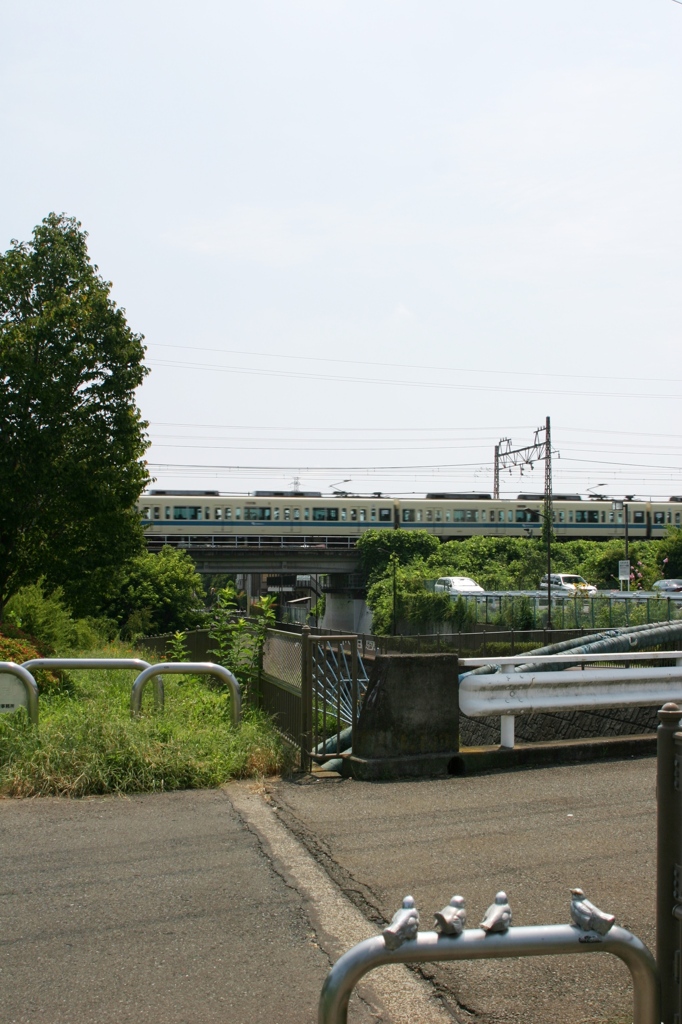 鉄道オタクのすずめちゃん。
