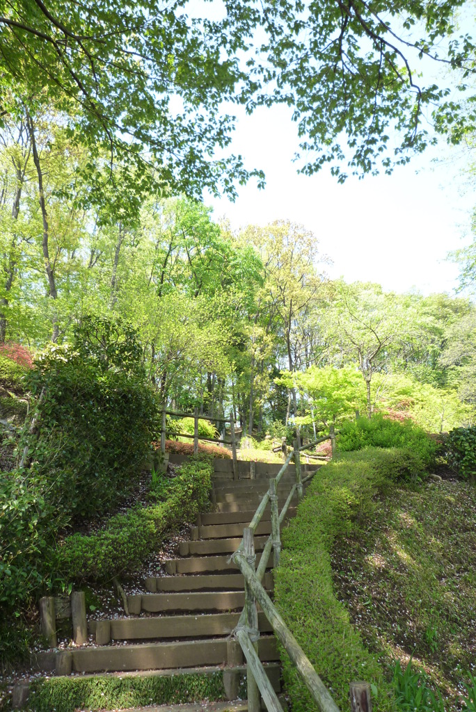 ぼたん園