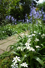 5月4日 004