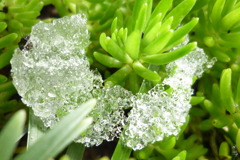 4月の雪　氷のネックレス
