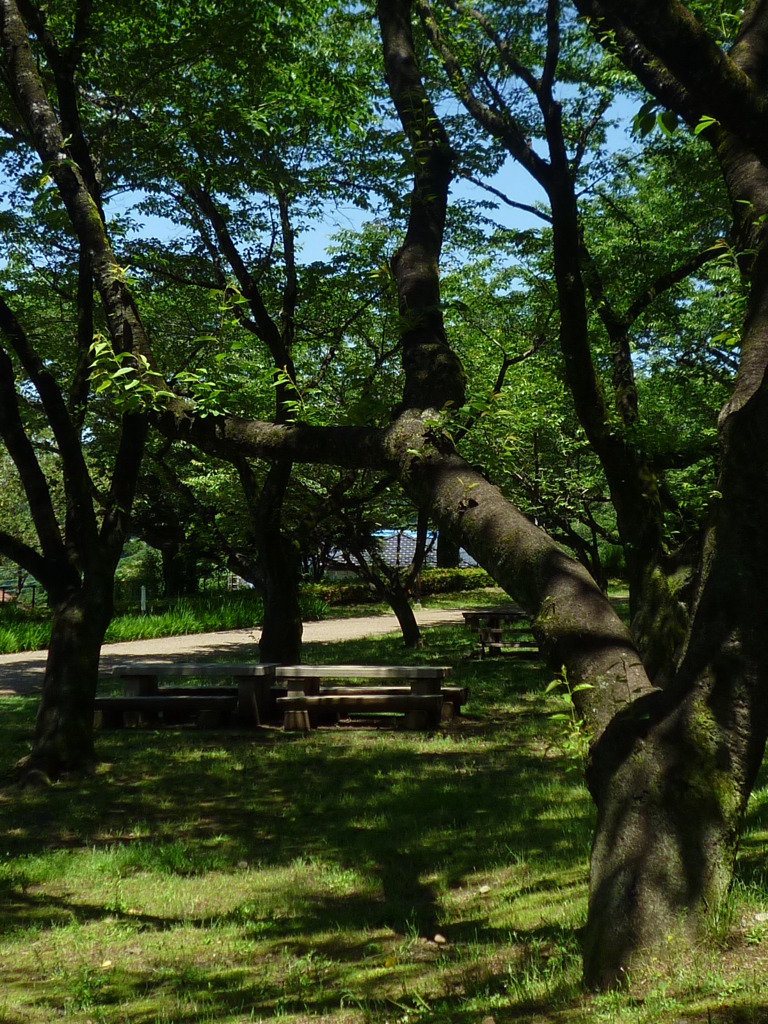 5.28 　津久井湖　水の苑地