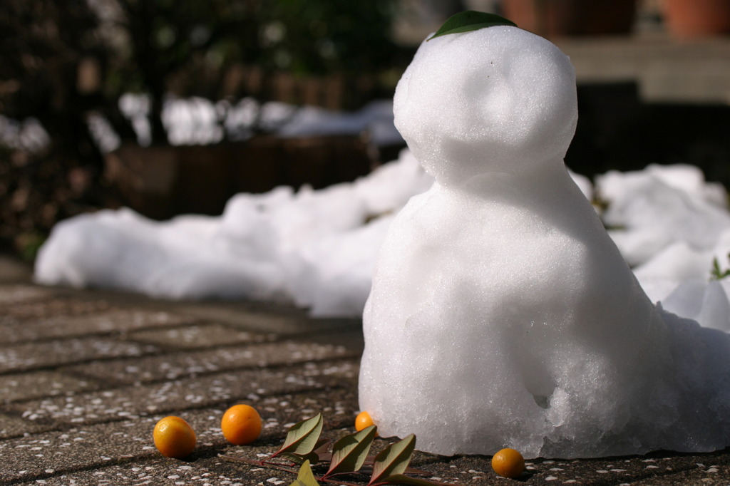 君の初雪